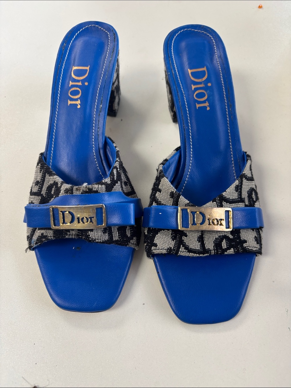 Dior Blue Logo Jacquard Buckle Mules